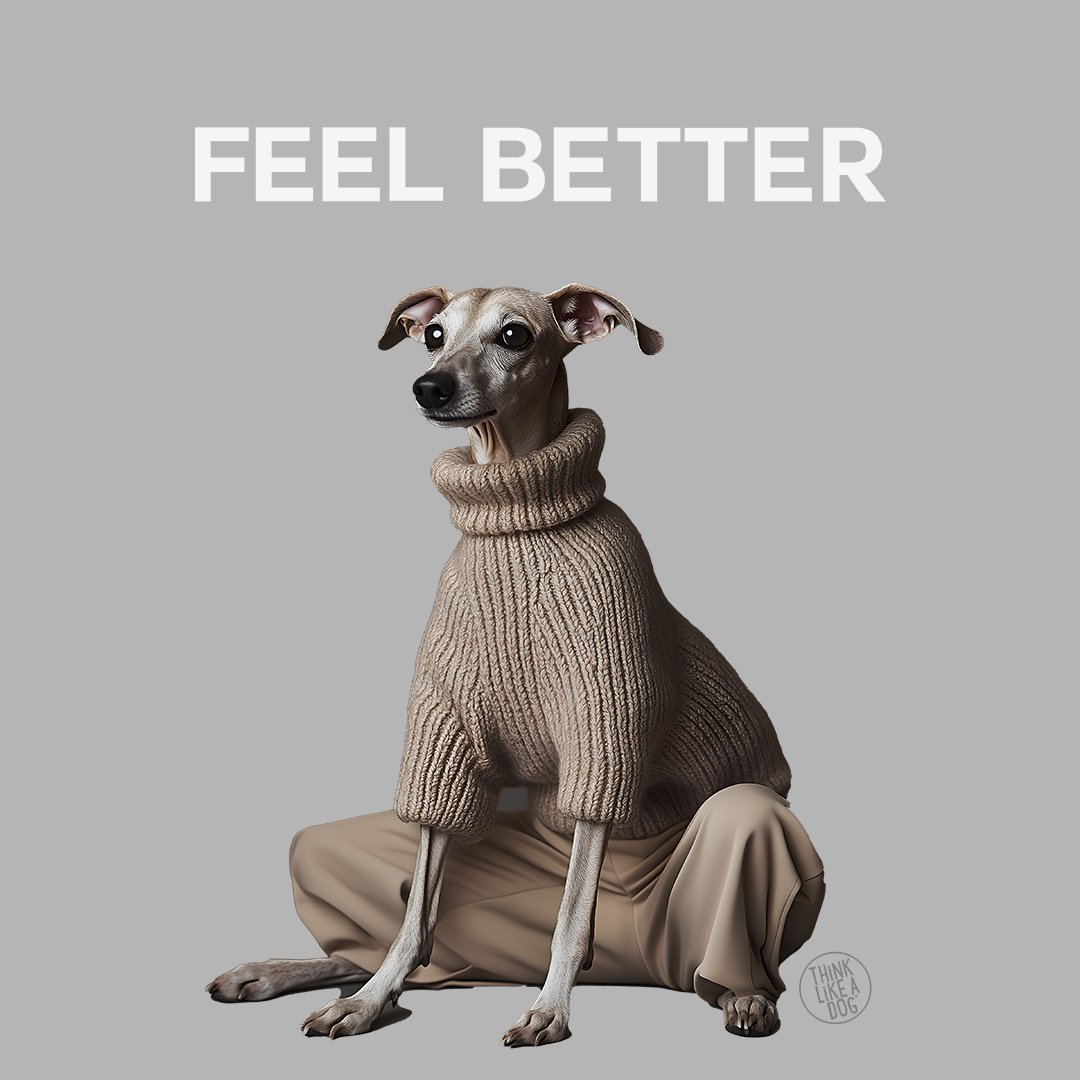 Feel Better Women's Relaxed T-Shirt | Francine Dog - Themed Apparel - THiNK LiKE A DOG®